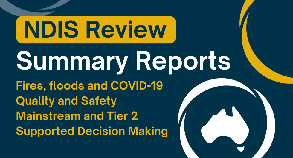 DANA’s NDIS Review Summary Reports now online!