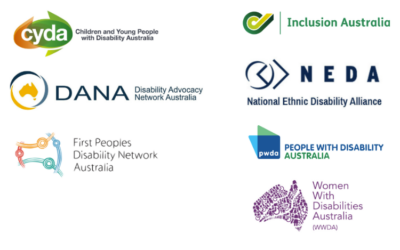 Joint Media Statement: Co-design and foundations essential to get NDIS right